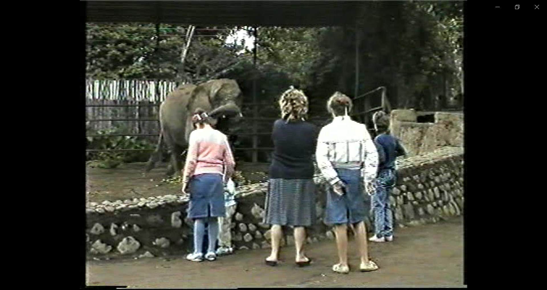 Szász Lilla: Safari,1986-2022
