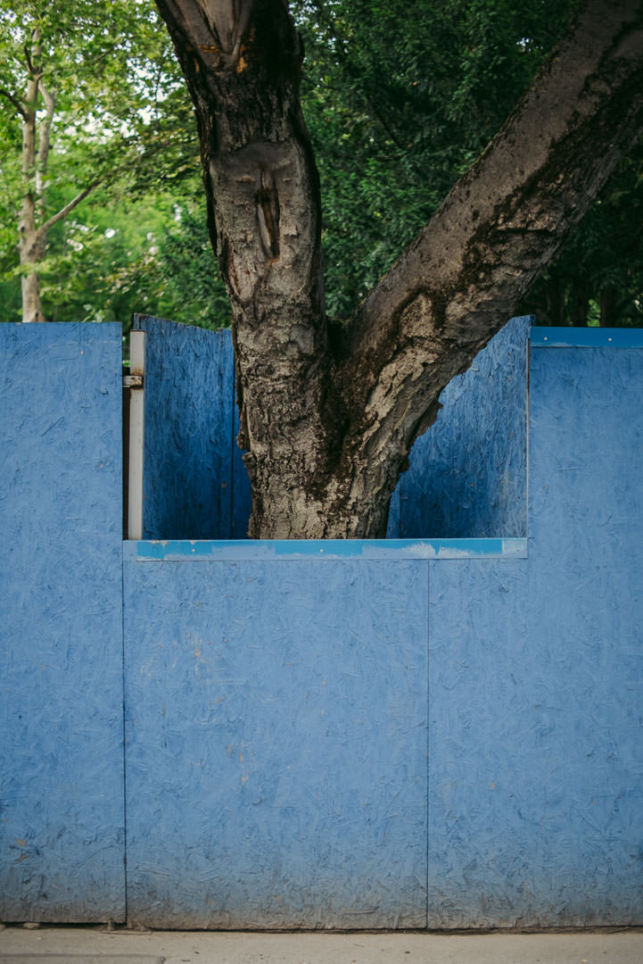 Bielik István: Territórium © Bielik István