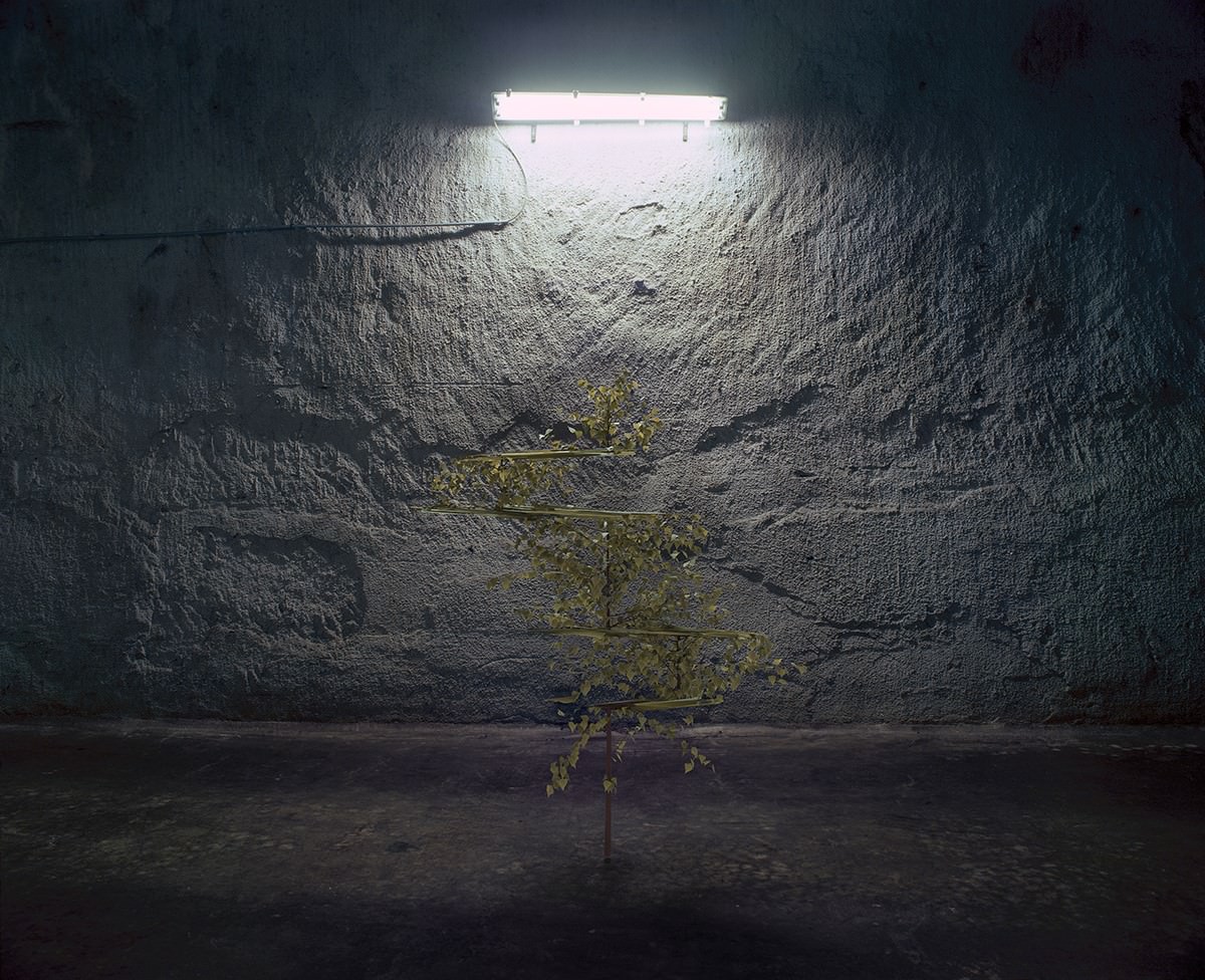 Martinkó Márk: Virtual plants No.1. © Martinkó Márk