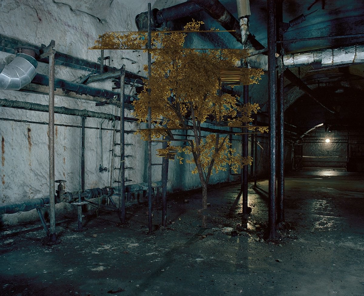 Martinkó Márk: Virtual plants No.1. © Martinkó Márk