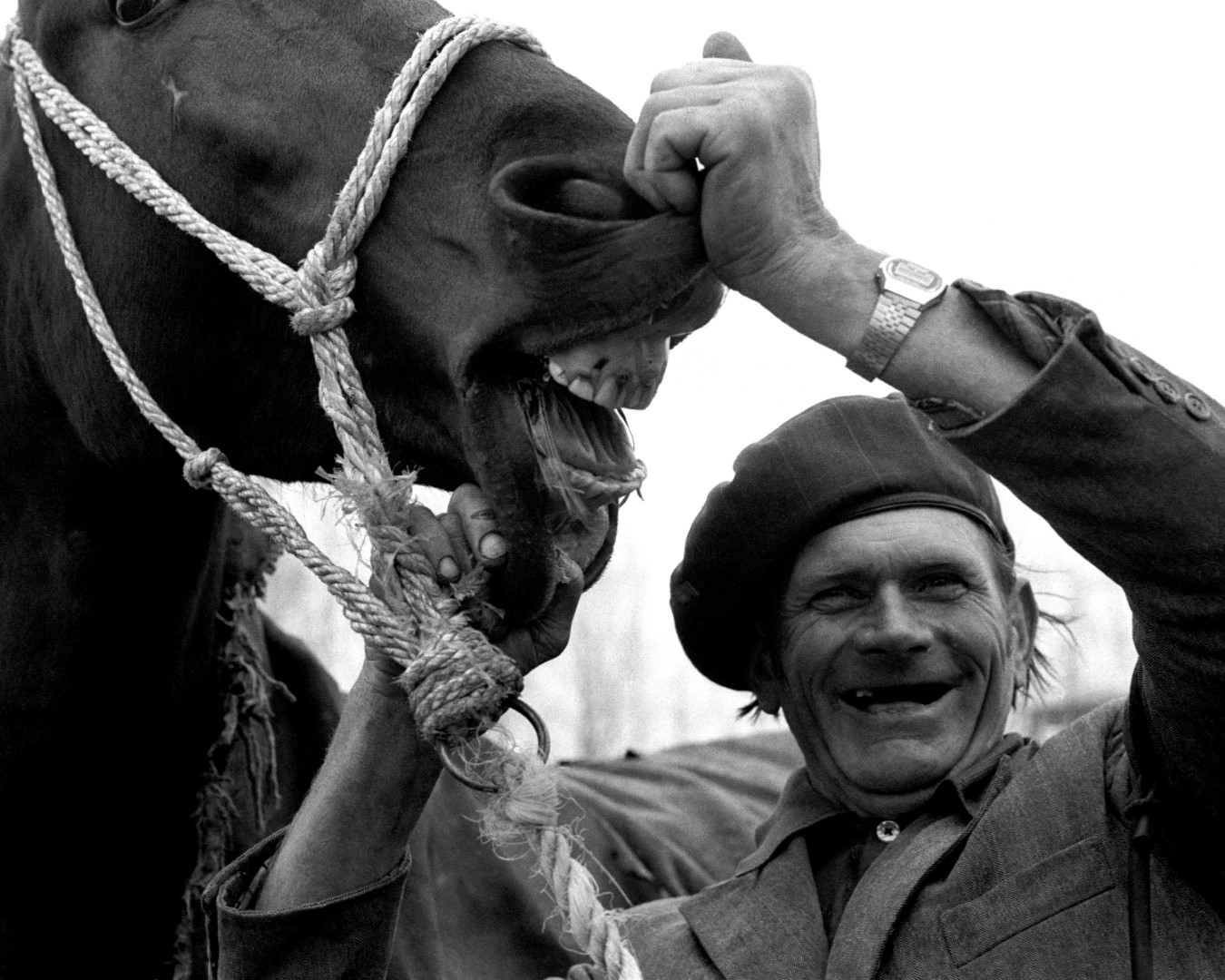 Balogh László: Lóvásár, 1988