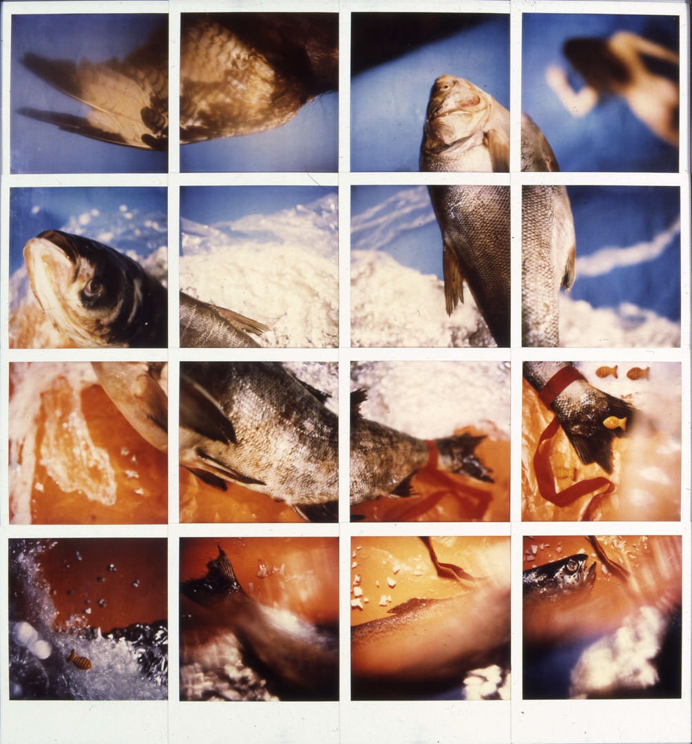 Drégely Imre: Pisces 1–16., 1992 © Drégely Imre