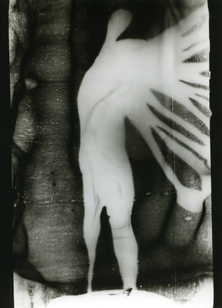 Frankl Aliona: Angel, 1998 © Frankl Aliona