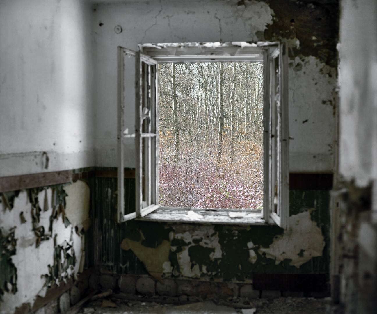 Dezső Tamás: Elhagyott szoba (Szentkirályszabadja), 2012