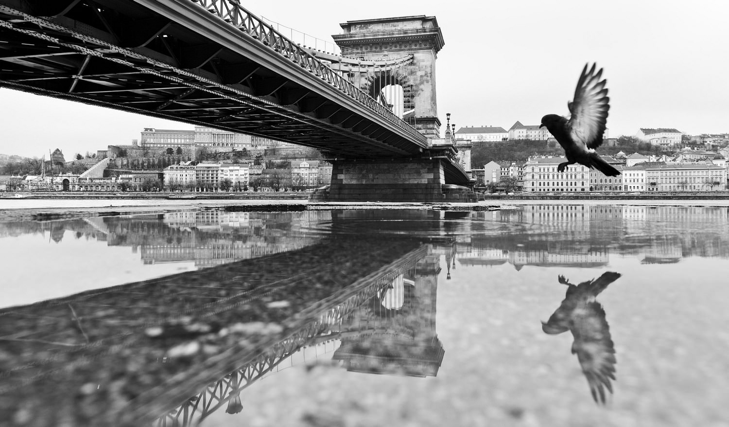 © Fazekas István: Madárlátta Budapest (részlet a sorozatból)