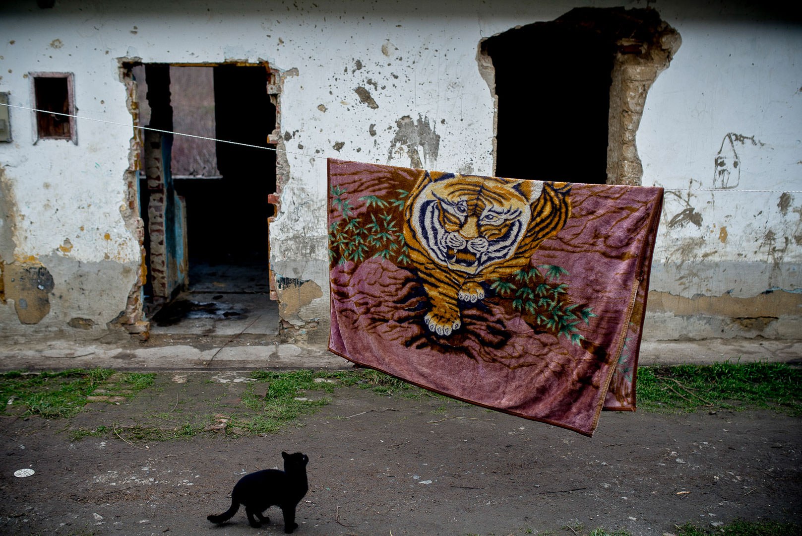 © Hajdú D. András