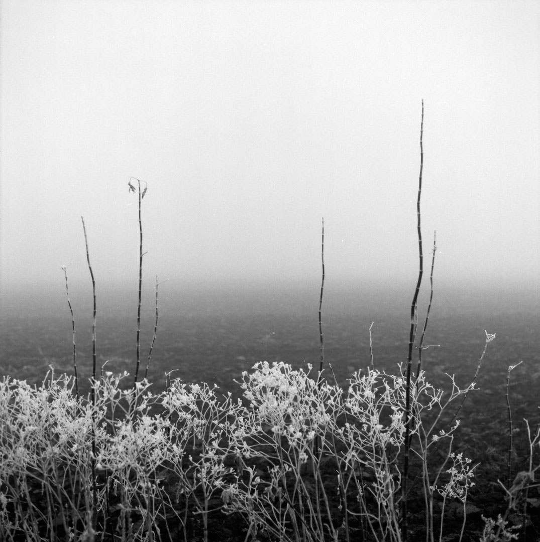 Fotó: © Hossala Tamás