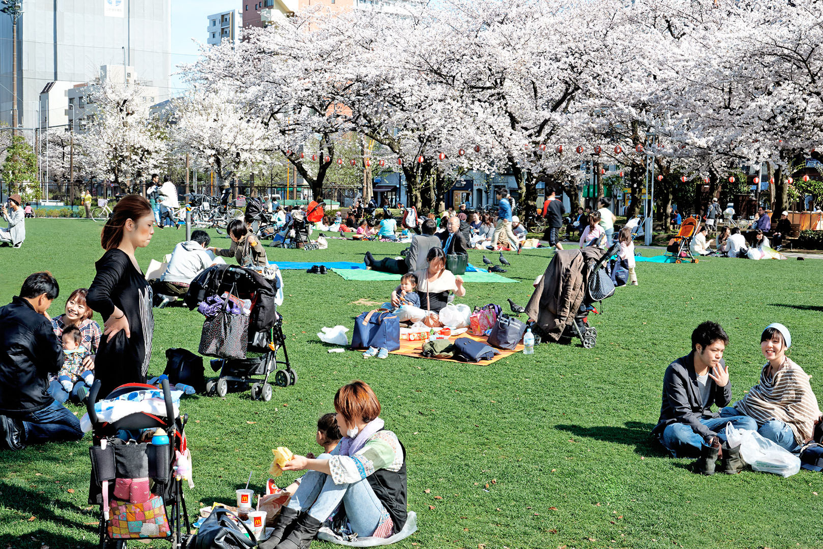 © Szatmári Gergely: Kinchi Park