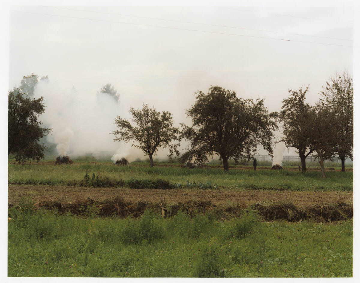 Fromm Balázs: Csango Land, részlet a sorozatból | from the series © Balázs Fromm