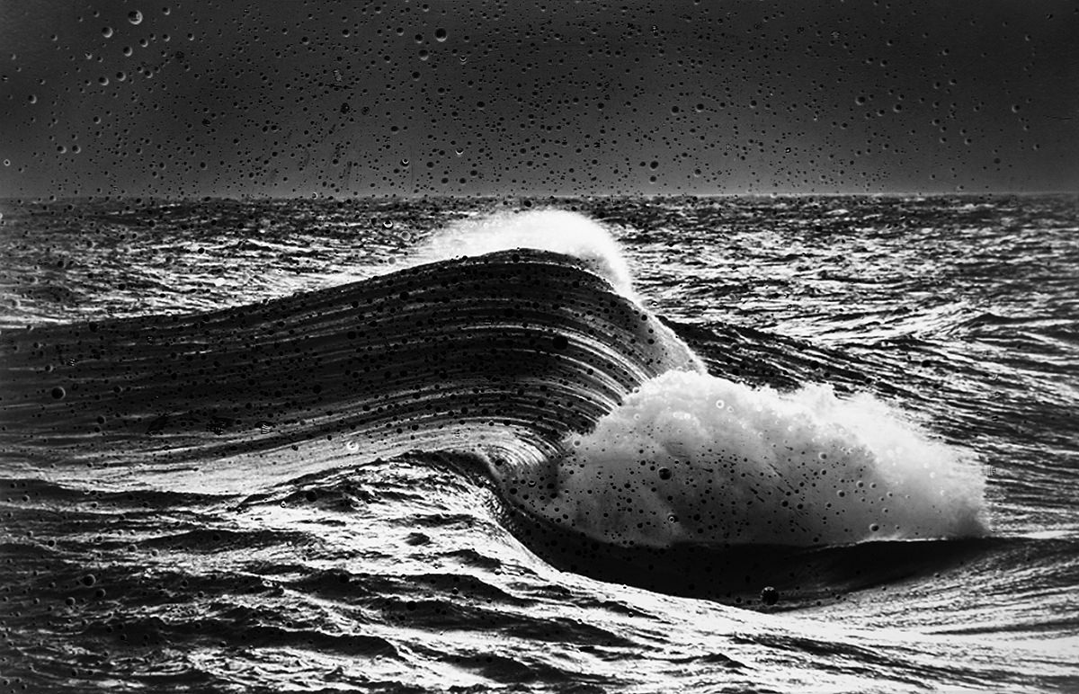 Zagyvai Sári: Egy kirándulás vázlatai, részlet a sorozatból | Sketches of an Excursion, from the series© Zagyvai Sári