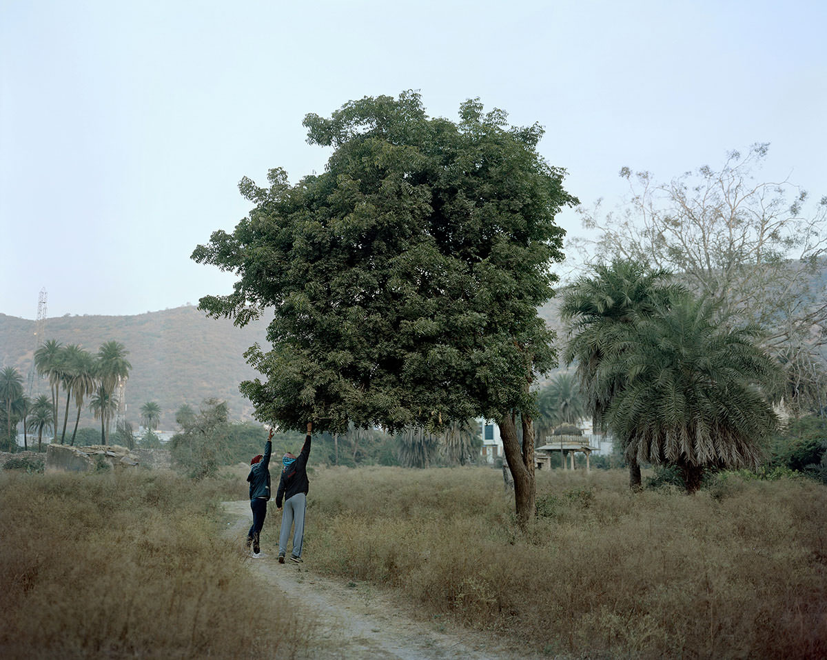 Turós Balázs: The Nature Of Things, részlet a sorozatból | from the series © Turós Balázs 