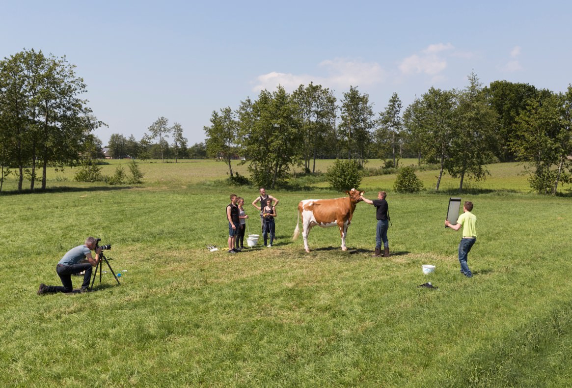Hans van der Meer: Damwoude, Hollandia | The Netherlands, 2015 © Hans van der Meer