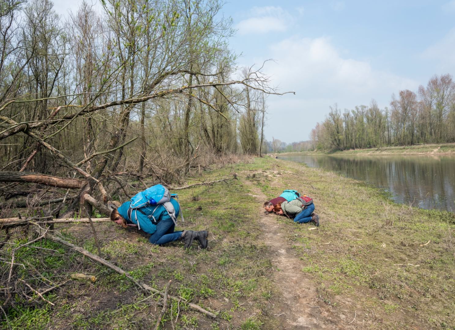 Hans van der Meer: Önkéntesek hódok által szagjelzésként hátrahagyott halmokat szagolnak, Kekerdom, Hollandia | Volunteers sniff heaps left by beavers as a scent signal, Kekerdom, The Netherlands, 2019 © Hans van der Meer