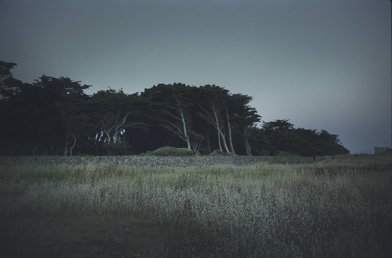 Hodosy Enikő: Bleu, Cote sauvage, 2013 © Hodosy Enikő