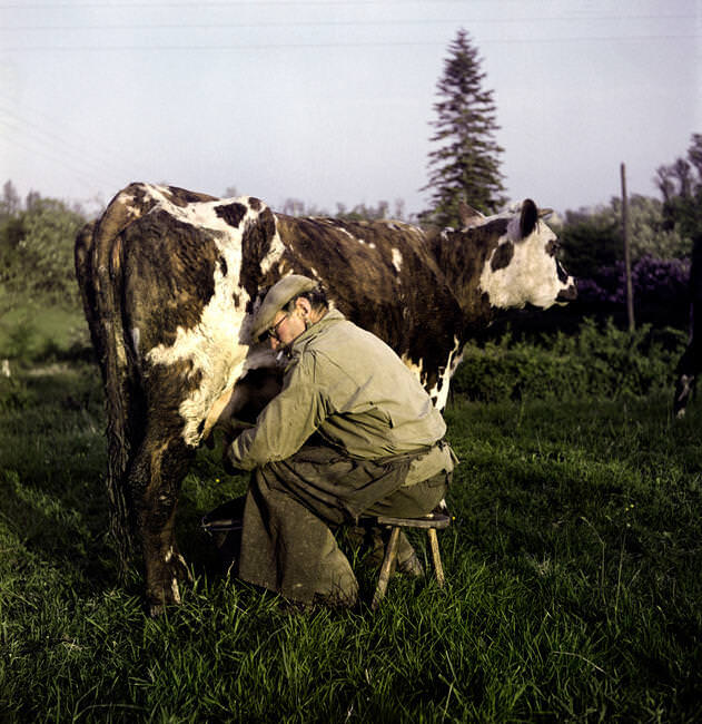 Egy farmer eldobott katonai dzsekiben. Normandia, Franciaország, 1947│ A farmer wearing a discarded US Army jacket. Normandy, France, 1947. © David Seymour/Magnum Photos 