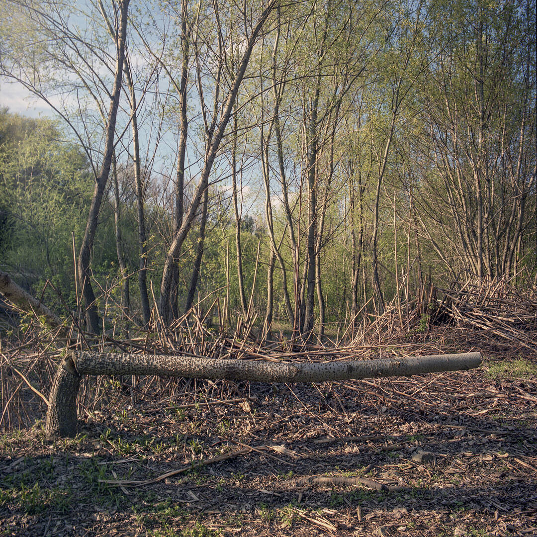 Nunkovics Róbert: Népsziget, részlet a sorozatból | Népsziget, from the series © Róbert Nunkovics