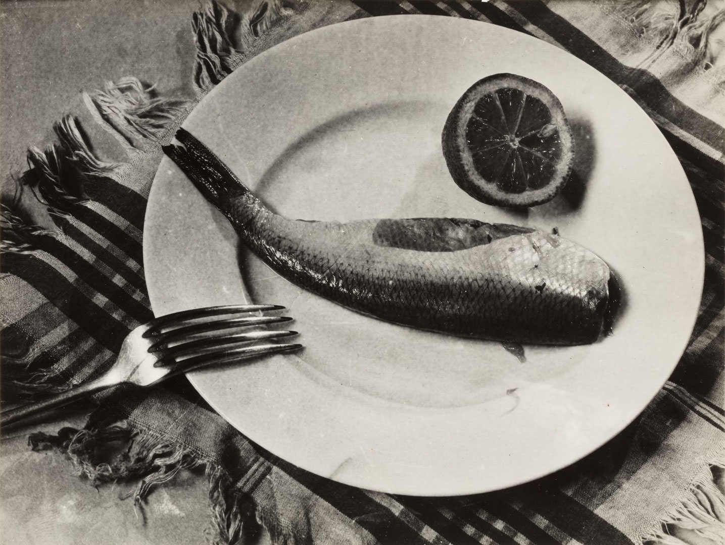 Aczél Márta: Cím nélkül (Halas csendélet I), c1935 (zselatinos ezüst nagyítás, 175x232 mm)