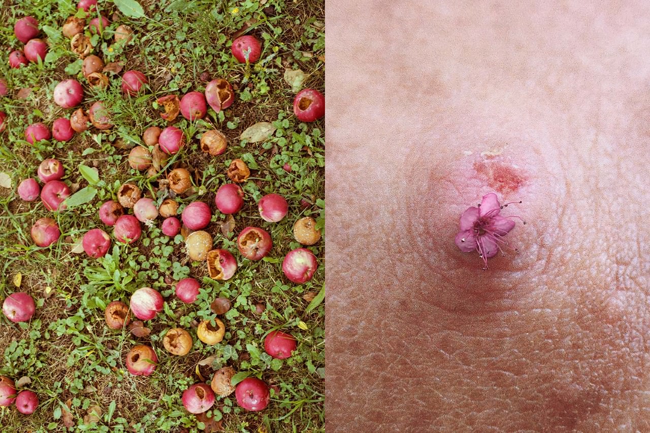 Gáldi Vinkó Andrea: Balra: Eve Jobbra: Nipple flowering (giclée print, Museum Fibre matt archive paper, balra: 40x26.7 cm, jobbra: 70x46,7cm)