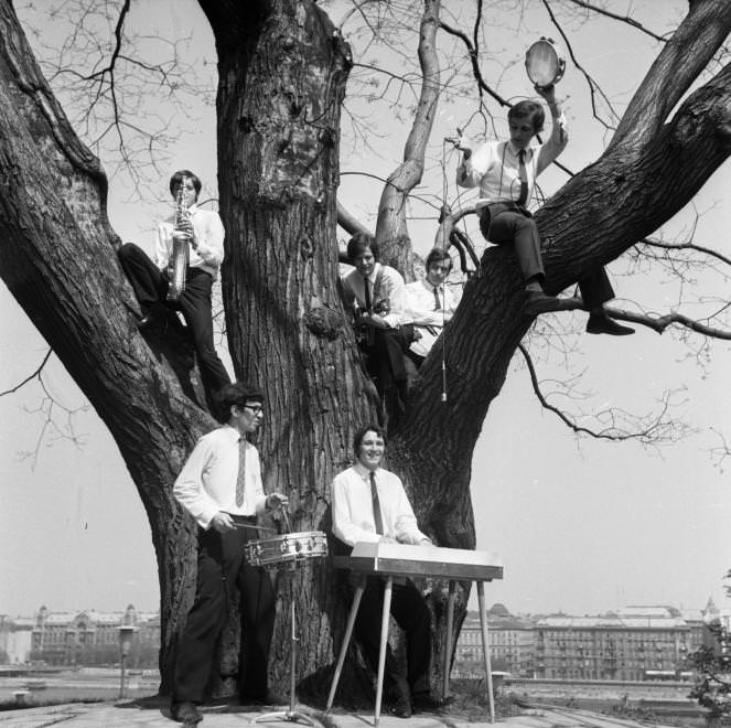 Urbán Tamás: A kék csillag együttes a Nagyfán, 1966 © Urbán Tamás/Fortepan