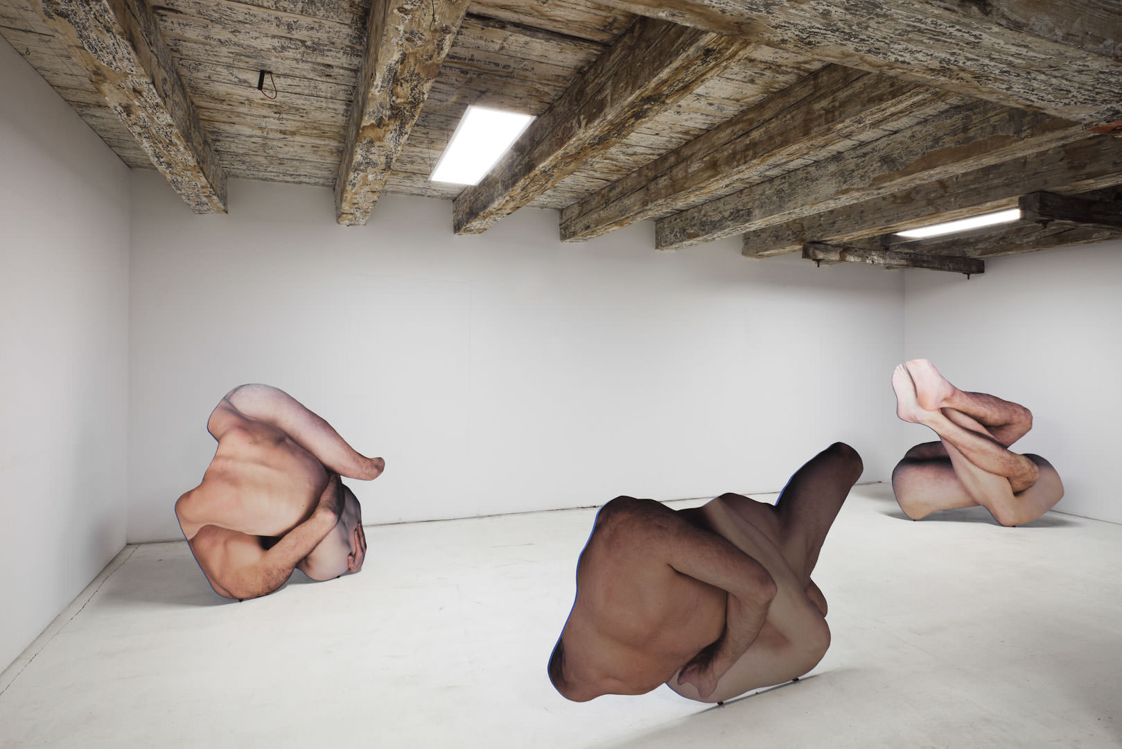 6. VÉKONY Dorottya: Átlagos eltérés / Average Deviation, 2019 © Áron Wéber
